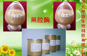 食品行業(yè)用纖維素酶供應(yīng)——高效、安全的全方位解決方案